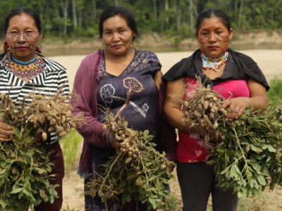 Nicole Allgranti finaliza documentário sobre a culinária tradicional dos povos indígenas