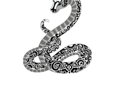 Morada da Jiboia