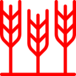 Mini Farm